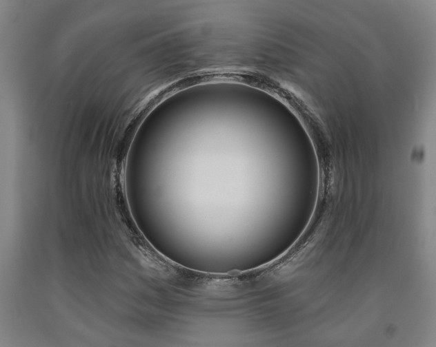X0000093091161200709261223