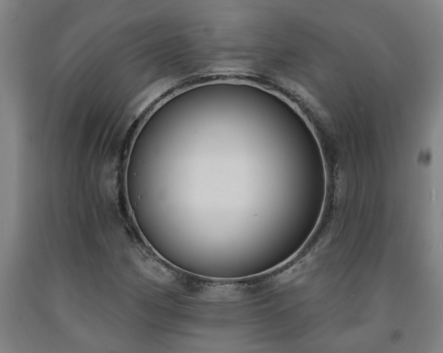 X0000093091162200709261223