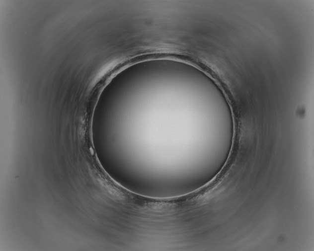 X0000093091163200709261223