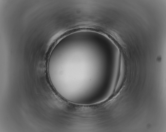 X0000093091164200709261223