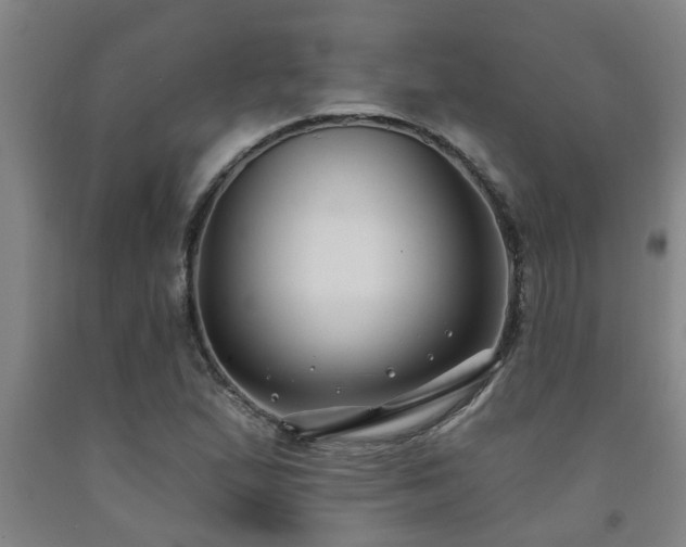 X0000093091167200709261223