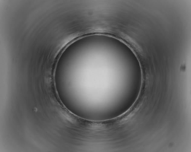 X0000093091170200709261222