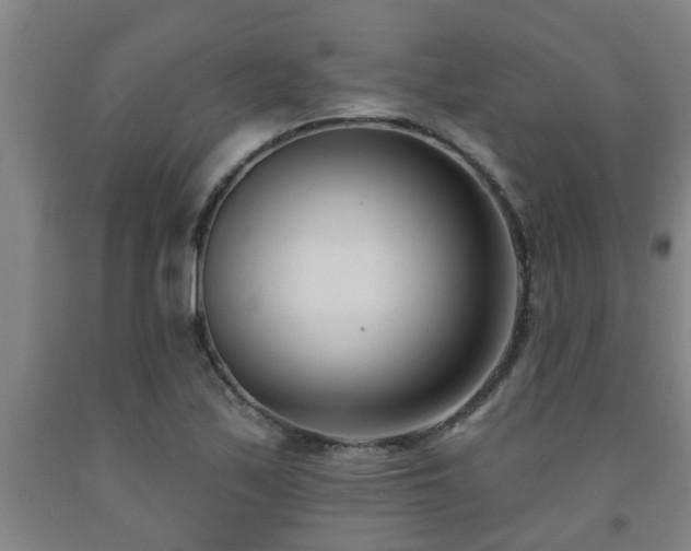 X0000093091171200709261222