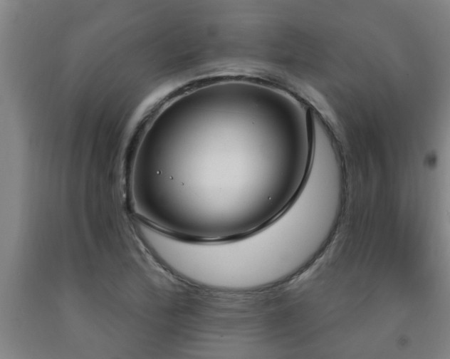 X0000093091172200709261222
