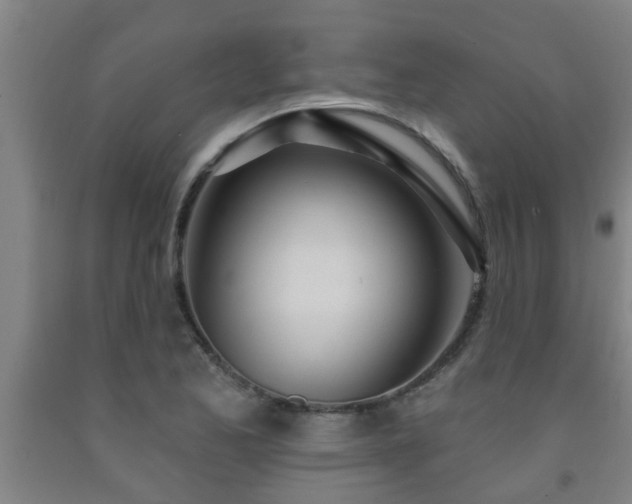 X0000093091173200709261222