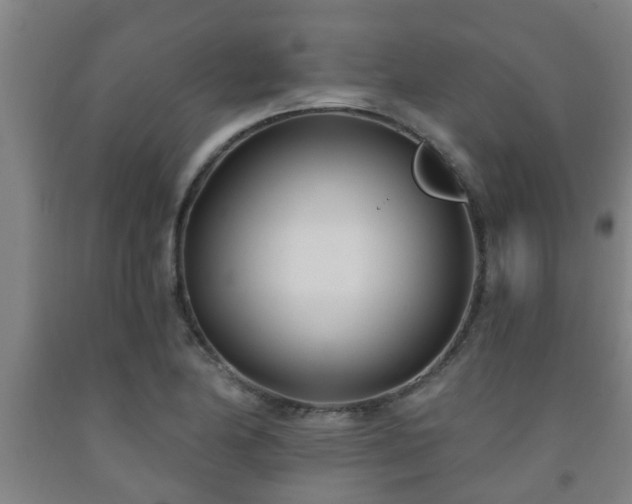 X0000093091174200709261222