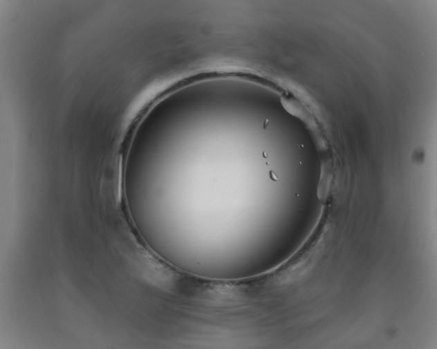 X0000093091175200709261222