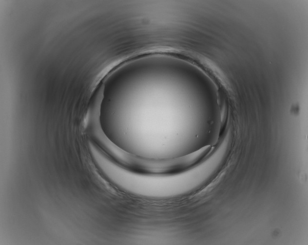 X0000093091177200709261222