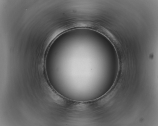 X0000093091178200709261222