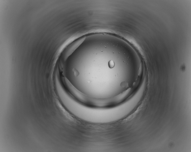 X0000093091181200709261222