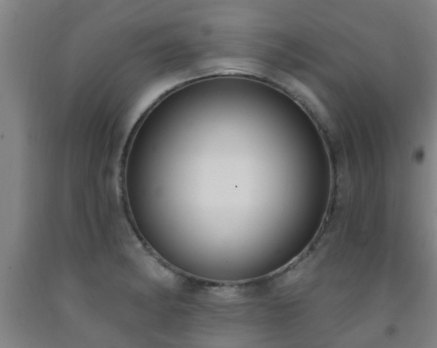 X0000093091182200709261222