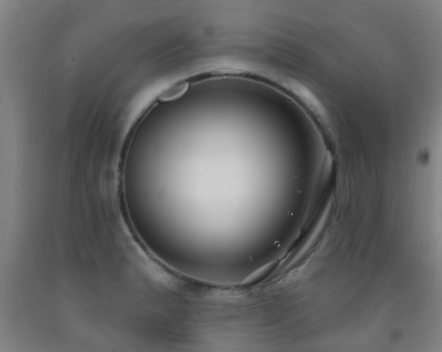 X0000093091183200709261222