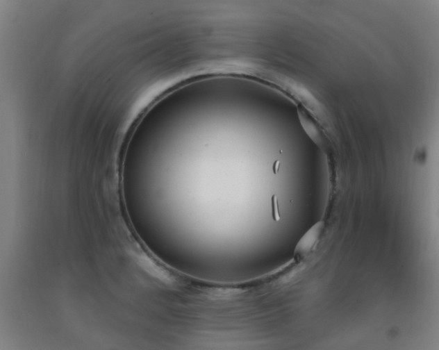 X0000093091184200709261222