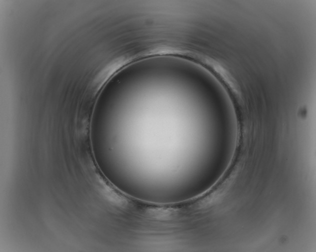 X0000093091185200709261222