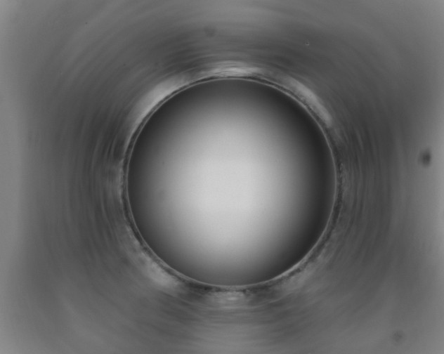 X0000093091186200709261222