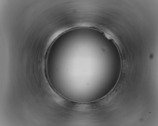 X0000093091187200709261222