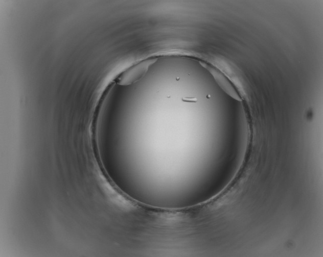 X0000093091189200709261222