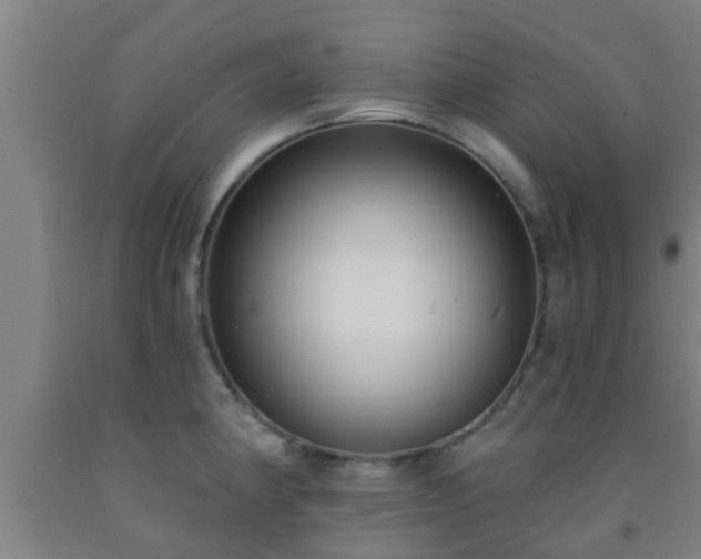 X0000093091190200709261222