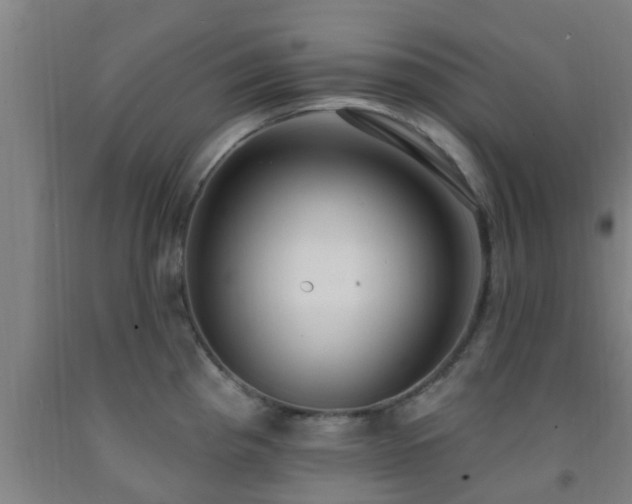X0000093091193200709261222