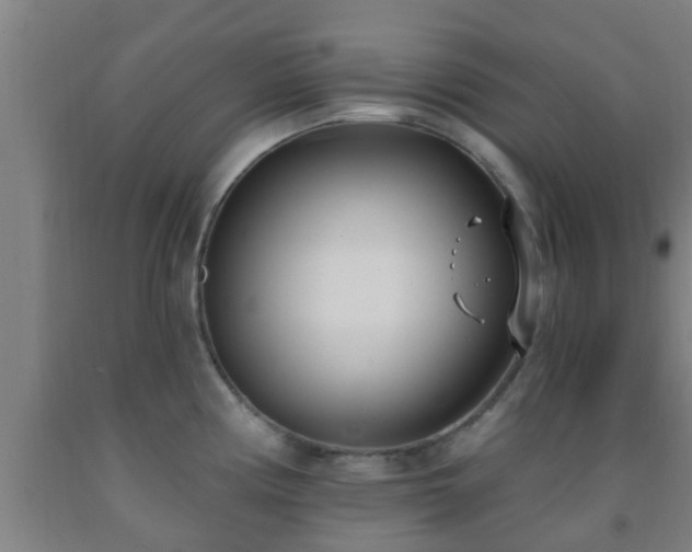 X0000093091194200709261222