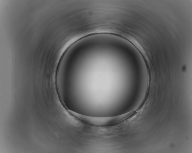X0000093091197200709261222