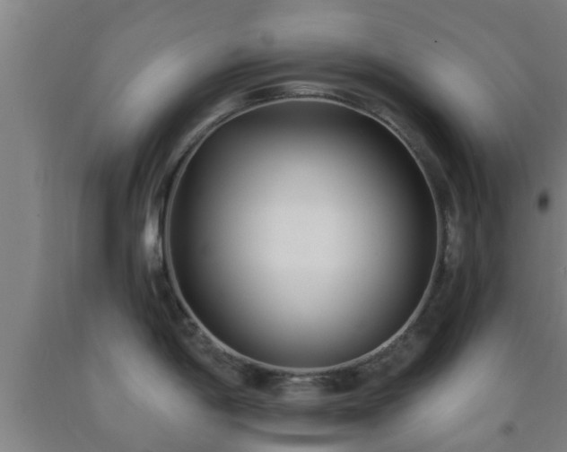 X0000093091198200709261222