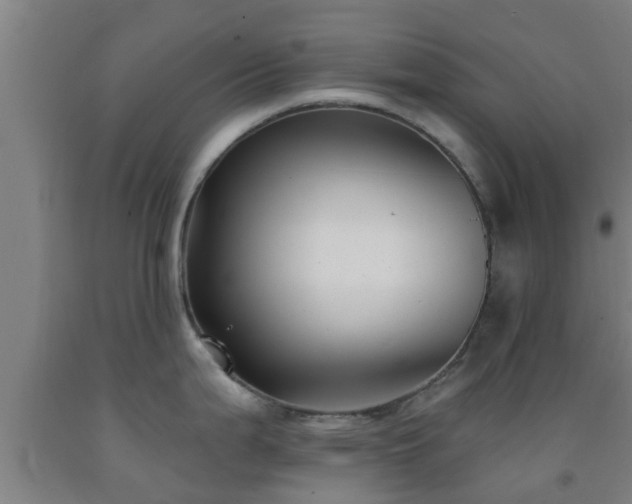 X0000093091199200709261222
