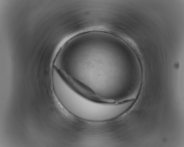 X0000093091200200709261222