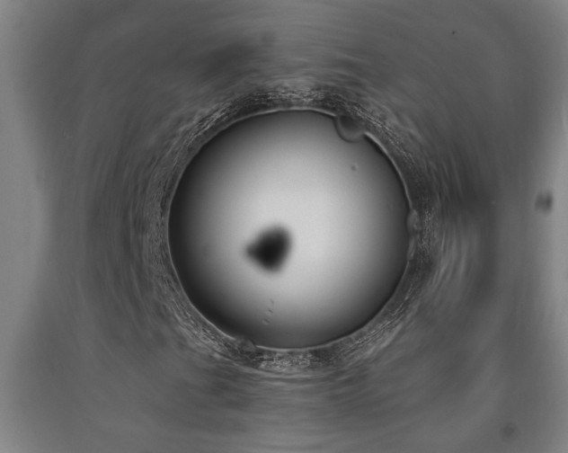 X0000093091201200709261222