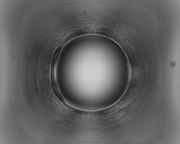 X0000093091202200709261222