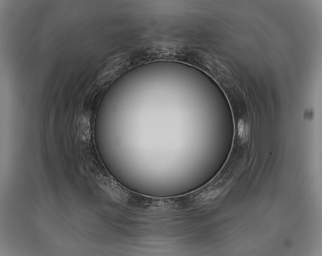 X0000093091203200709261222