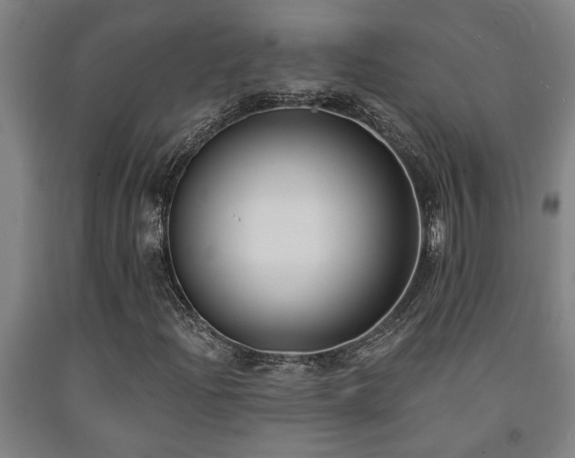 X0000093091204200709261222