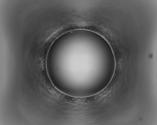 X0000093091205200709261222