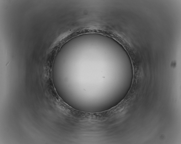 X0000093091207200709261222