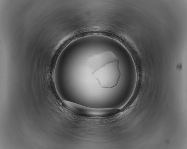 X0000093091210200709261222