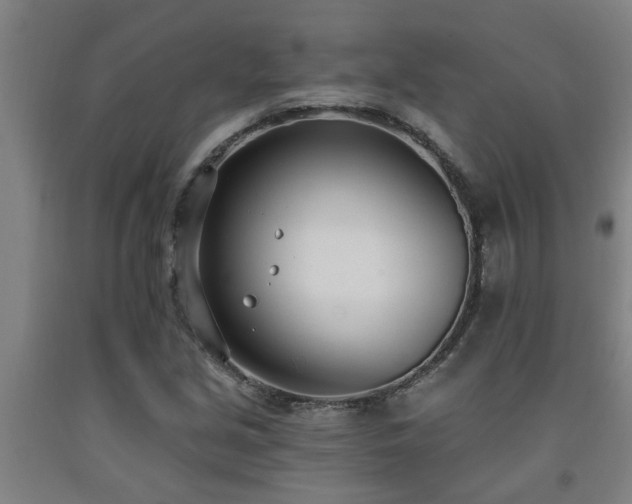 X0000093091213200709261222