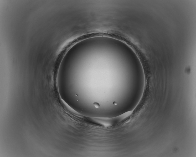 X0000093091214200709261222