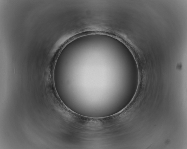 X0000093091215200709261222