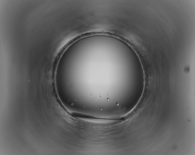 X0000093091216200709261222