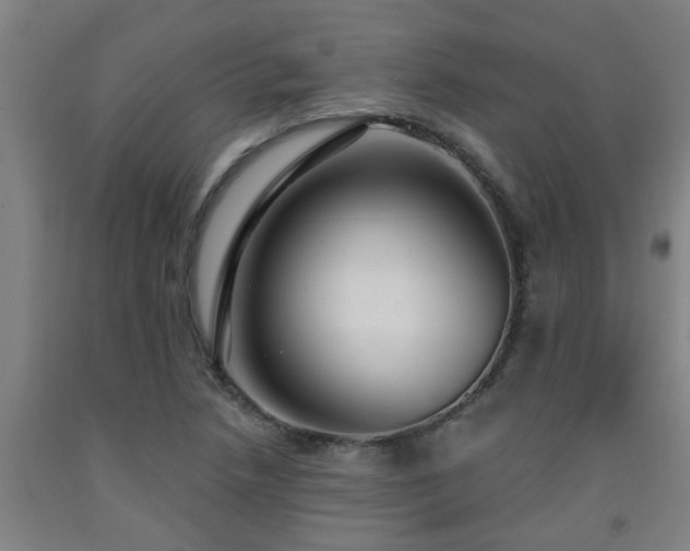 X0000093091218200709261222
