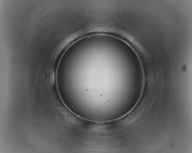 X0000093091221200709261222