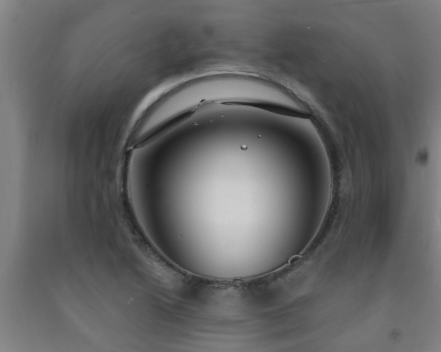 X0000093091222200709261222