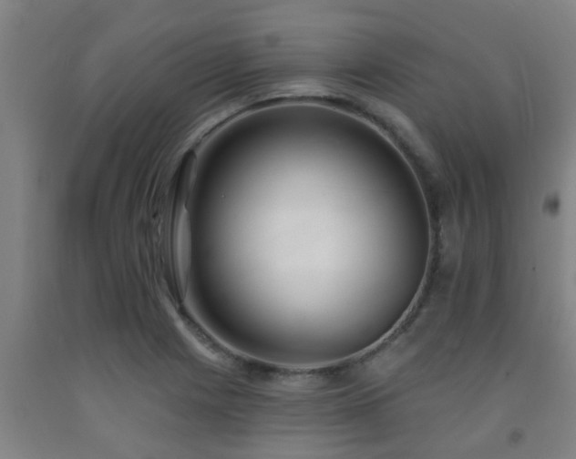 X0000093091225200709261222