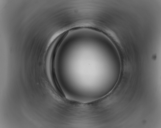 X0000093091226200709261222