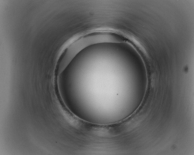 X0000093091229200709261222