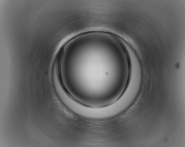 X0000093091230200709261222