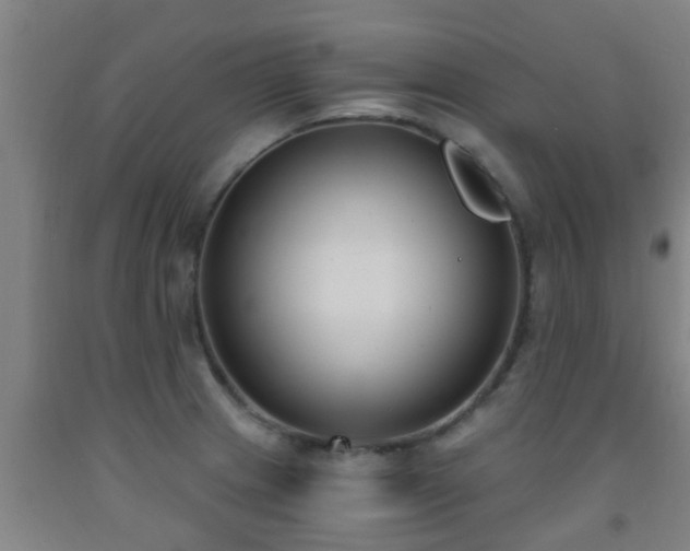 X0000093091233200709261222