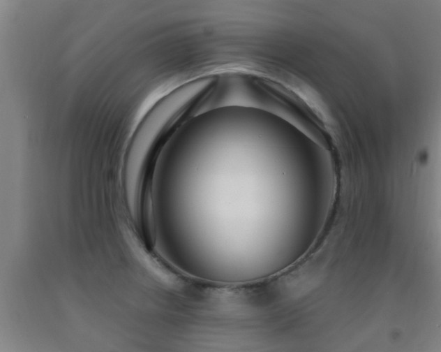 X0000093091234200709261222