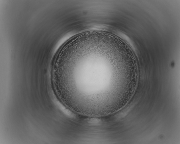 X0000093091235200709261222