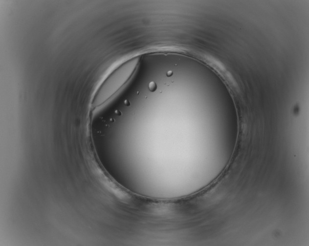 X0000093091236200709261222